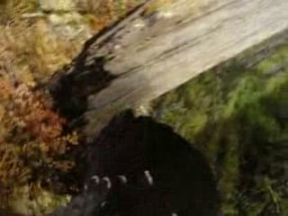 1er aventures de Nicolas Laglotte et de son fidèle caméraman