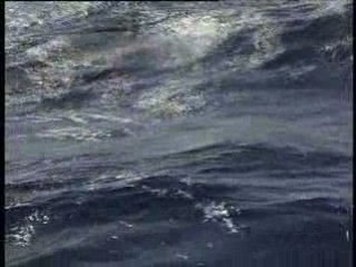 Pascaline SIMAR - "Through the wind dhow" - STRANGEIRO