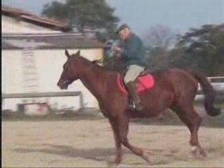 Petit galop équilibré(méthode d'Orgeix)