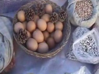 Penela Novembro 2008 - mostra agricultura biologica