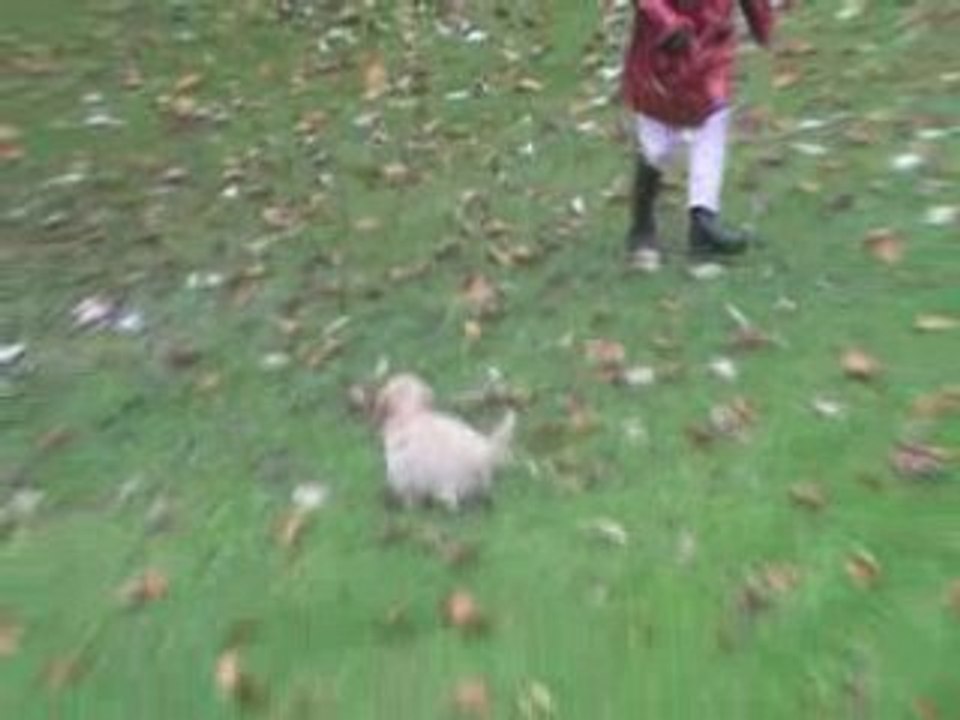 canelle apres une semaine