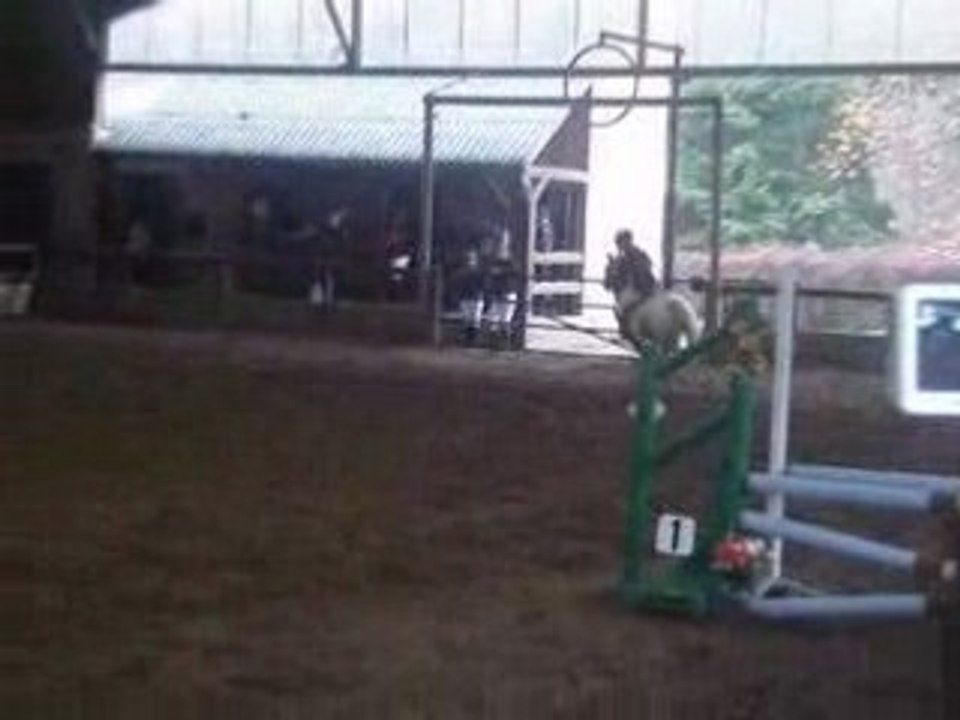 Quality Boy a Conche