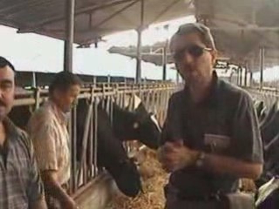 Rutaş Hayvan Çiftliği Metin Nalçacı ismail Arabacı