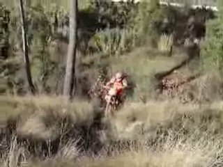 Bois brulée serge 16 11 08