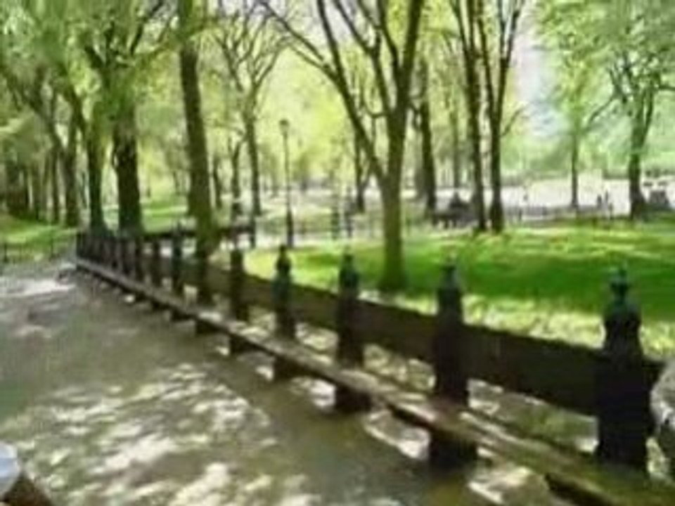 NewYork 2