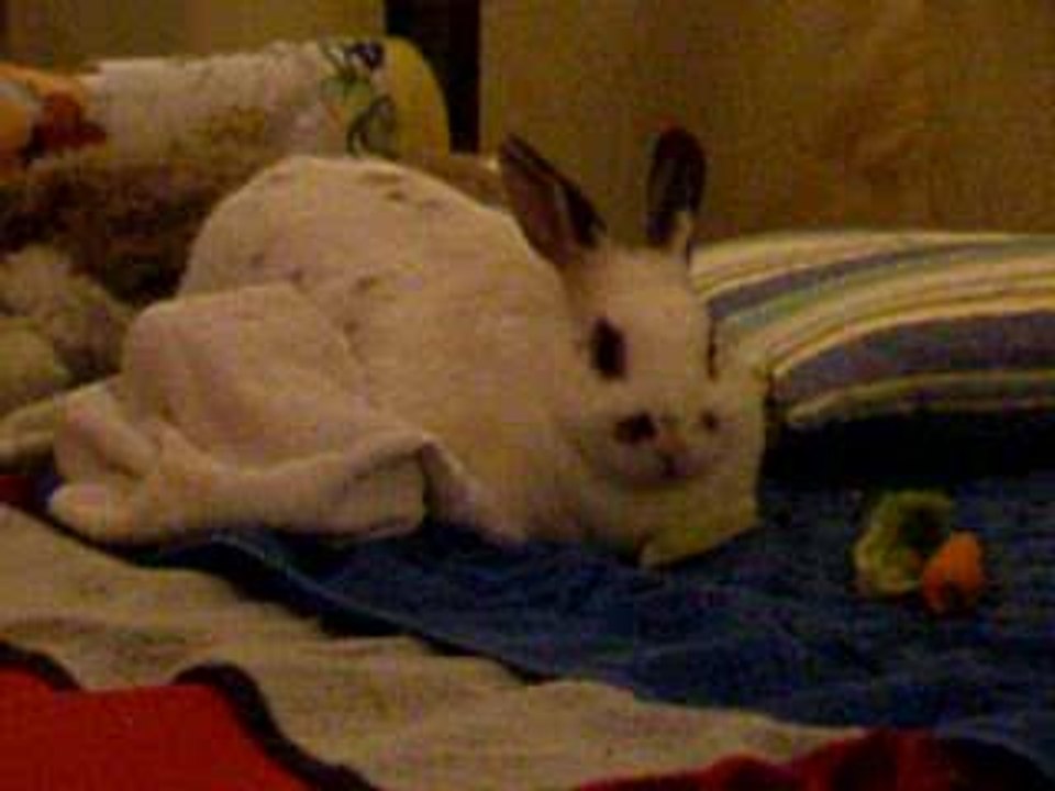 Mein geliebtes Öhmchen