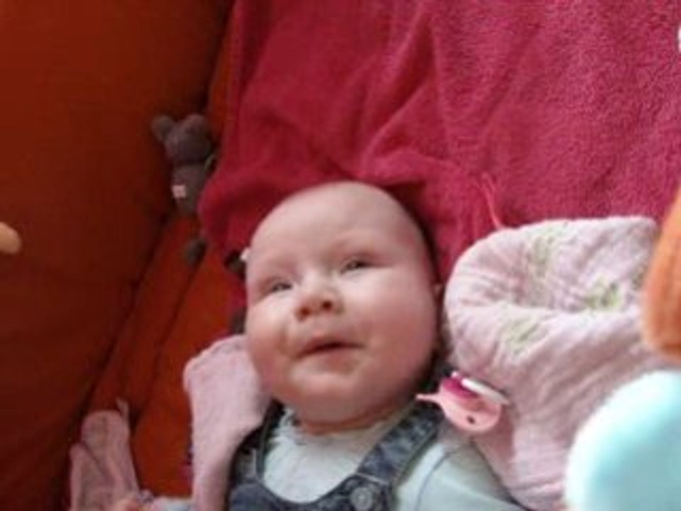 Photo 11466