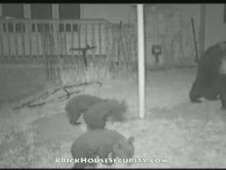 Rugged & Weatherproof W/ Nightvision For Ultimate Outdoor Se