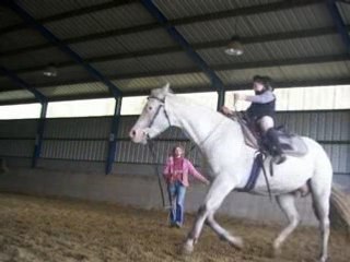 Chevaux marine 2008-chevetogne2008 042