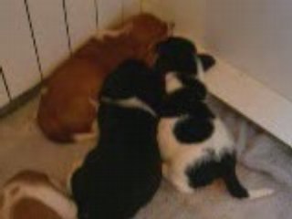 Et quand je pense que maman dort!