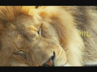 Audio downloads for relaxation