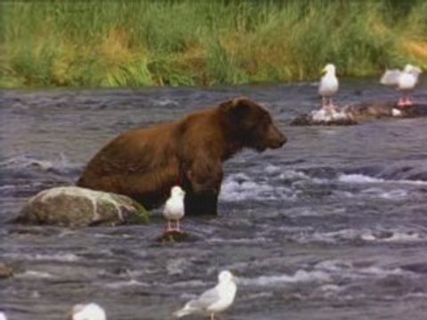 ÖLÜM DEDIGIN NEDIR