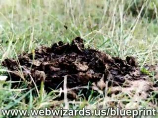 Marketing Affiliate Program Blueprint