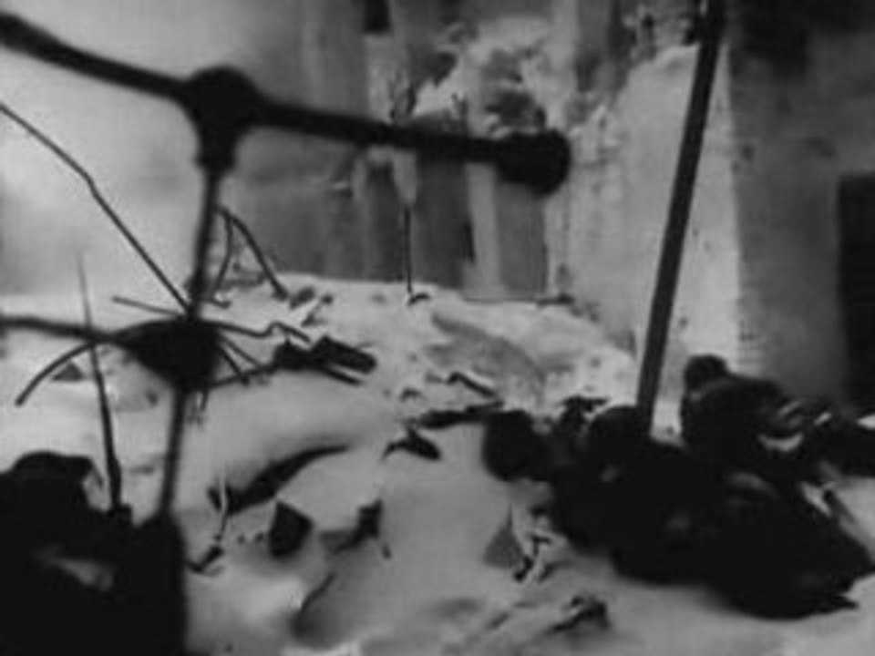 Dailymotion - Stalingrad Soviet final assault