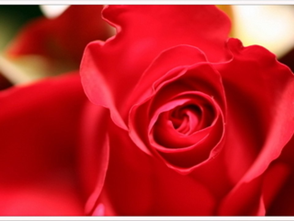 19 JUIN 2007 (teaser)