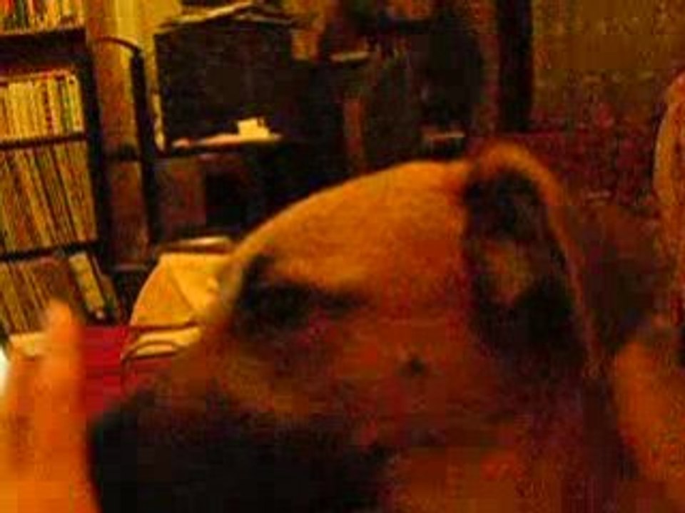 DSCN6577