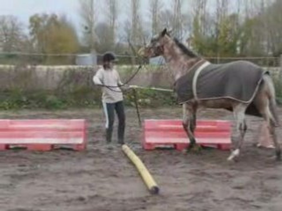 16novembre2008