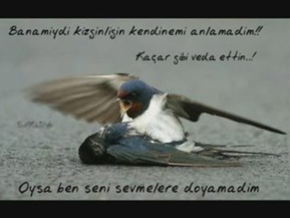 ibrahim tatlises        "Sozum yok artik"