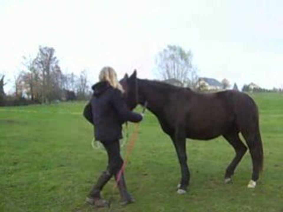 Toundra 16-11-08