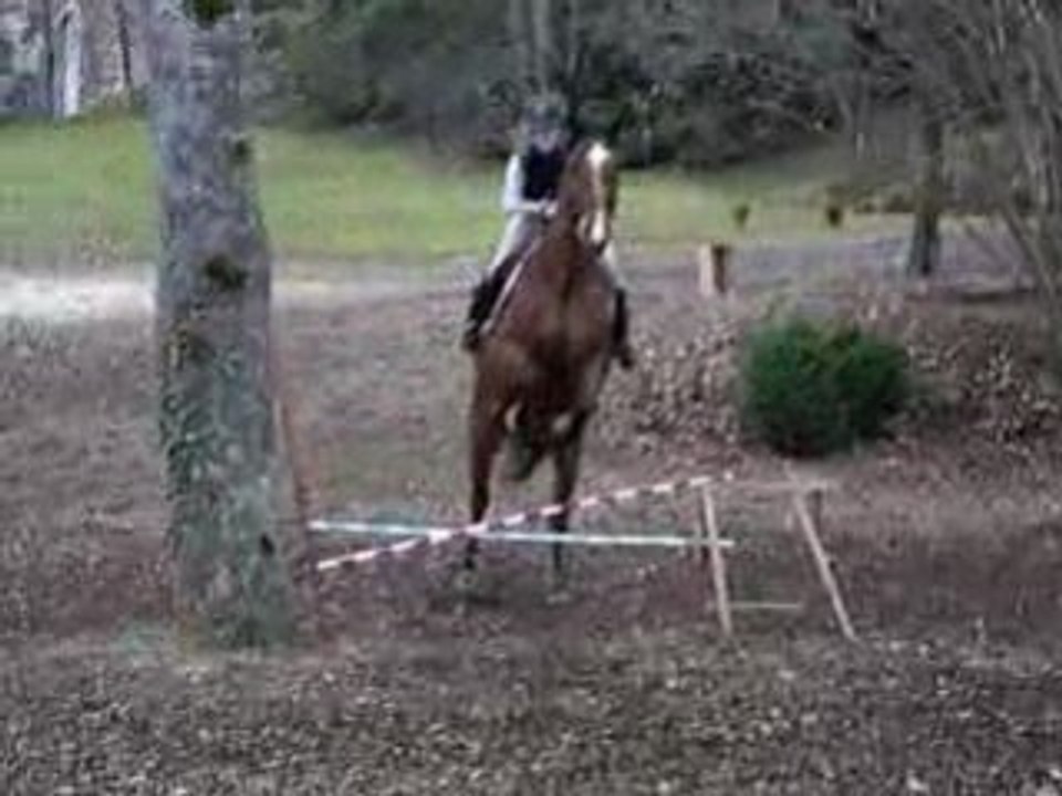 Moi et Champion petit souvenir d'un petit parcours