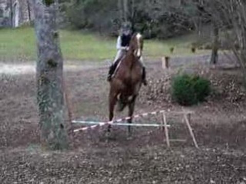 Moi et Champion petit souvenir d'un petit parcours