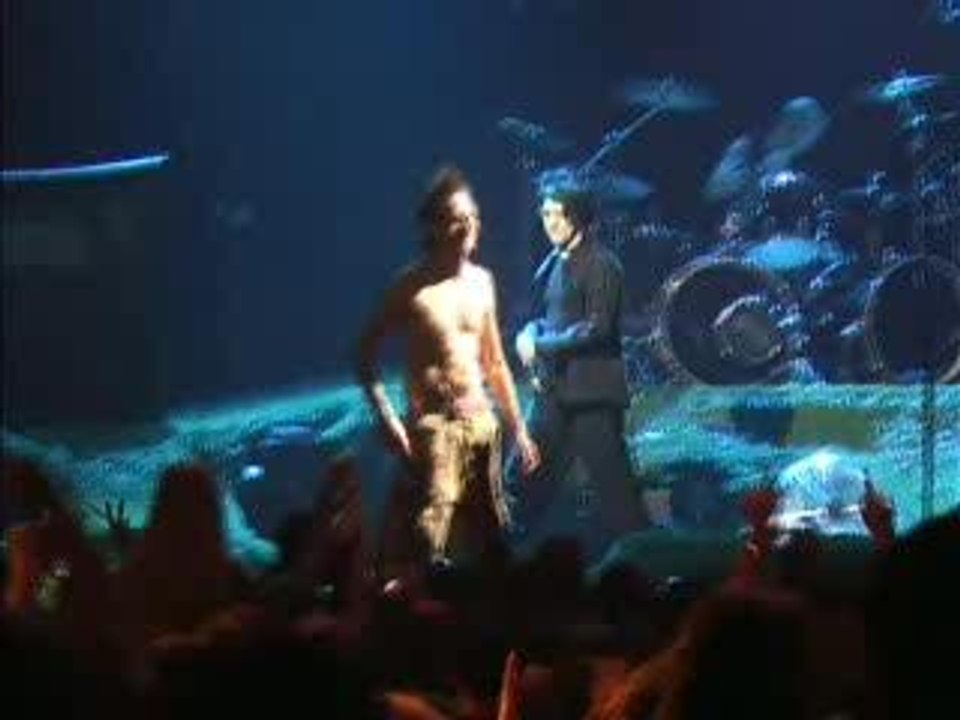 Indochine et Wampas - concert