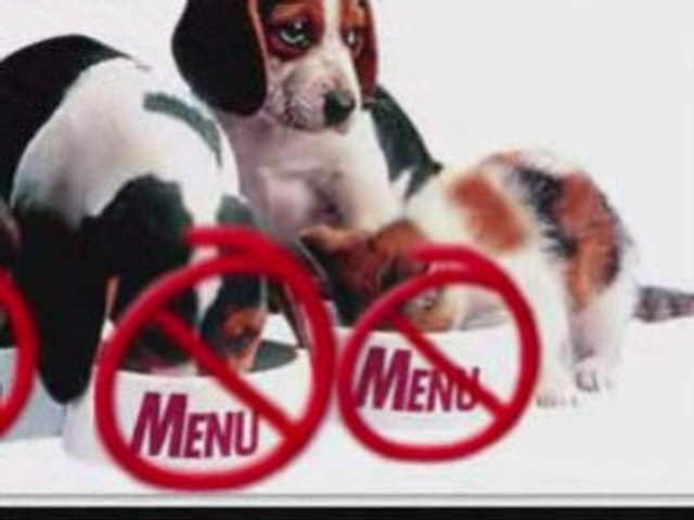 Learn The Terrifying-Truth About Commercial Dog Food!!!