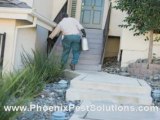 Phoenix Pest Control and Exterminator - How To Be Pest Free