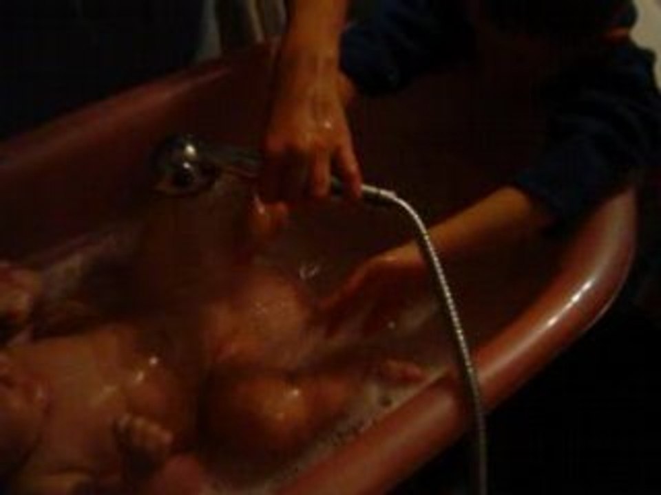 MOV03963