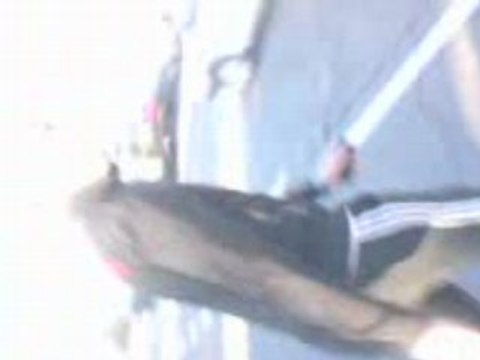 Mickael vitrolles meuf