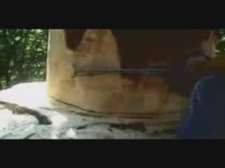 infojobs-ecologic version