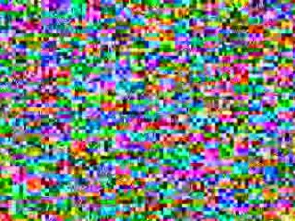 Iguanas. Video Galapagos Islands - Part 3