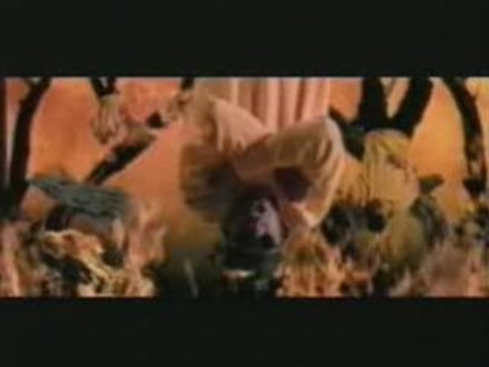 WU- TANG CLAN - "Triumph"