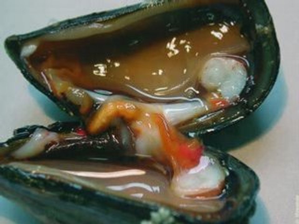 Hum Hum parodie du telephone Rose by tDY  ( tDY94 )