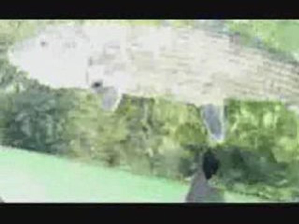 Fishing in Belize | Belize Fishing ONLY $850 WK