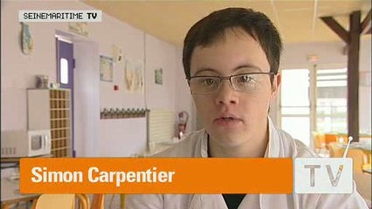 Handicap et Emploi
