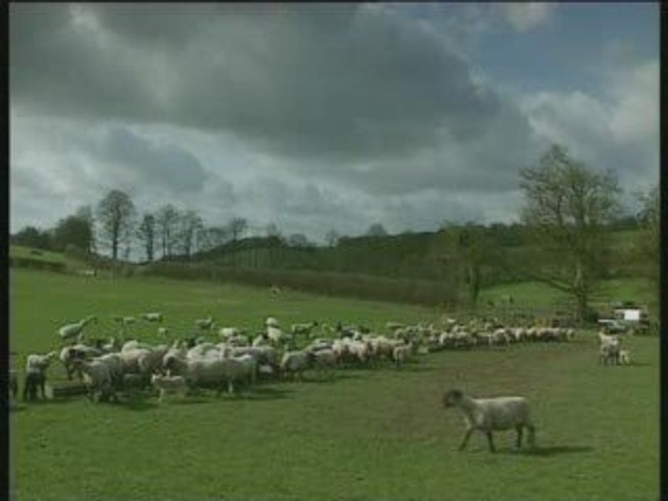 Stimulus-reponse-pmaf