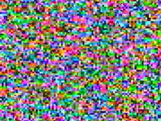 Texas Longhorns Shirts