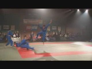Mérite Sportif 2008 : La nuit des arts martiaux