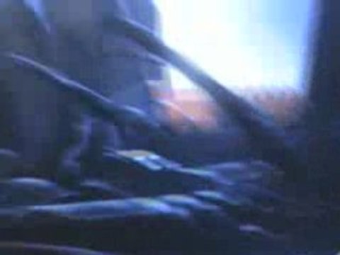 strip steve @ nordik impact 2008