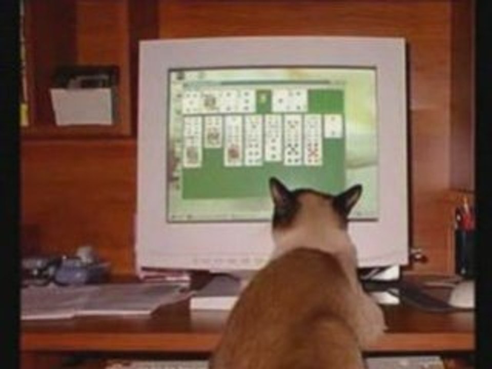 Animaux