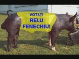 Relu Fenechiu ofera porci in campanie