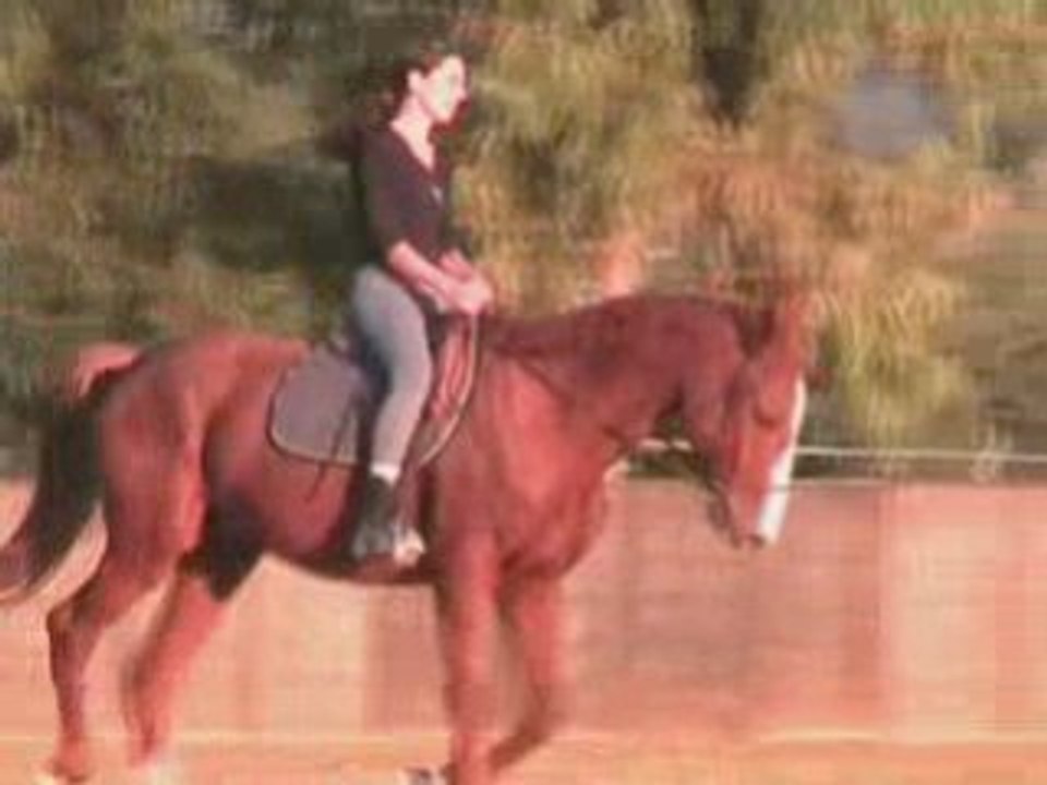 Full wicked 18112008