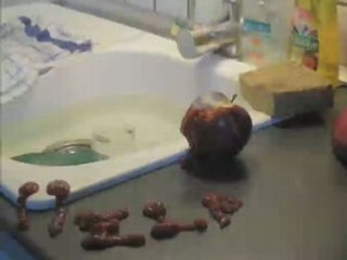 Lili EME vidéo2 (3ème année)