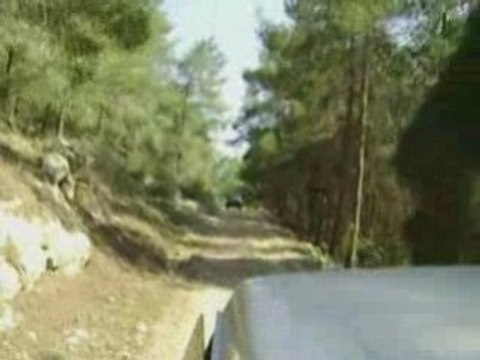 ג'יפ ספיד בתצפית עמק האלה 15.11.08