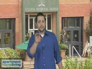 Apartment Living In Atlanta- Find Atlanta Apartments