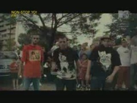 Sarrazin-Descente TVRip 66,0 Мo avi