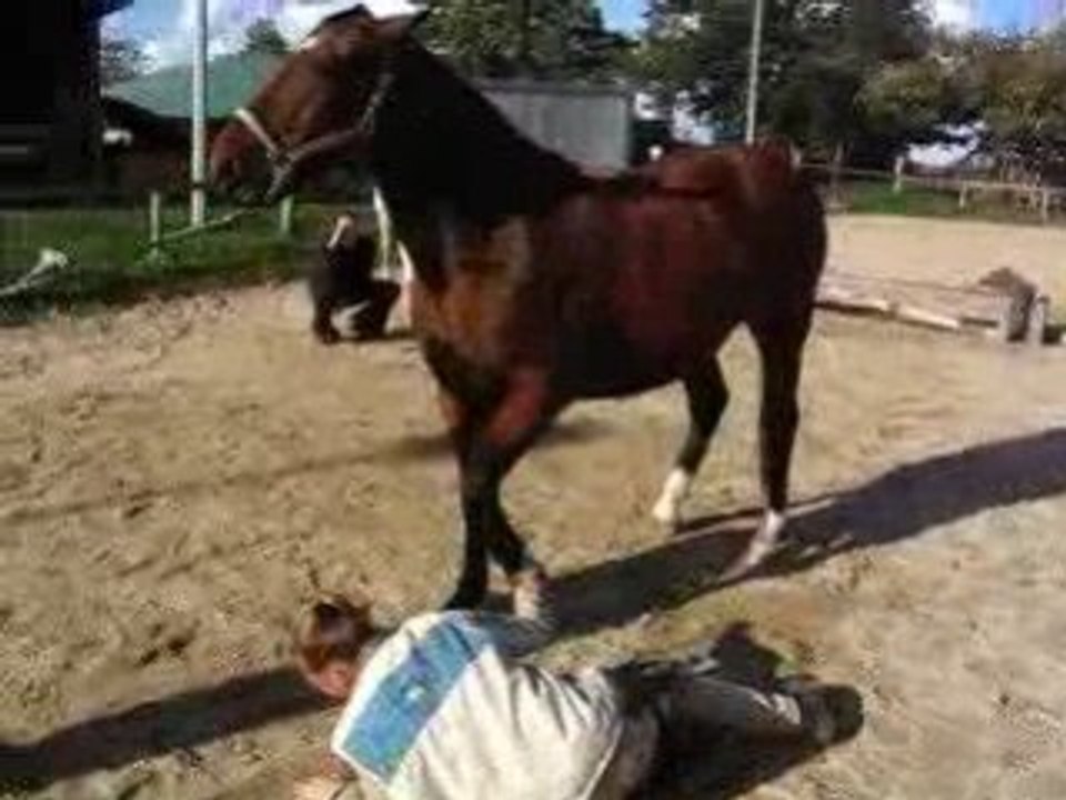 Pratique octobre suite 005