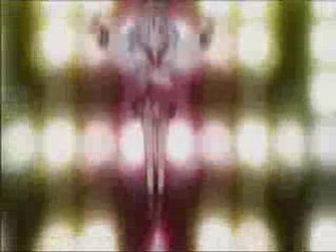 Lucky Star - Death note Parodie