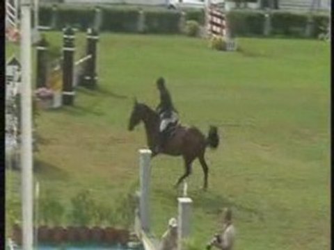 Dorina (By: Diamant de Semilly) 5 years old